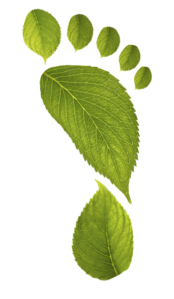 Pegada ambiental - Industrial Laborum